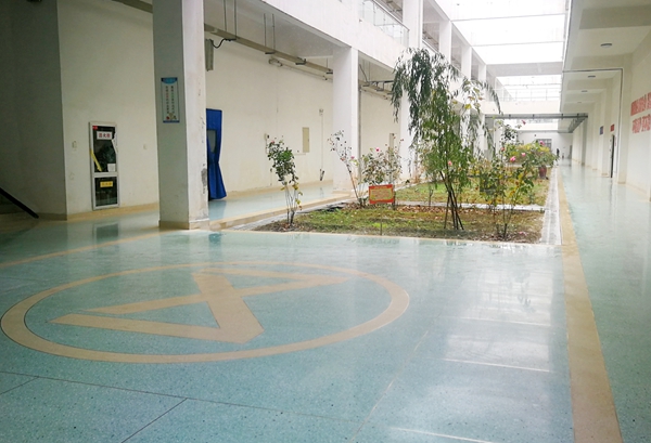 1608792239298065.jpeg 66.jpg