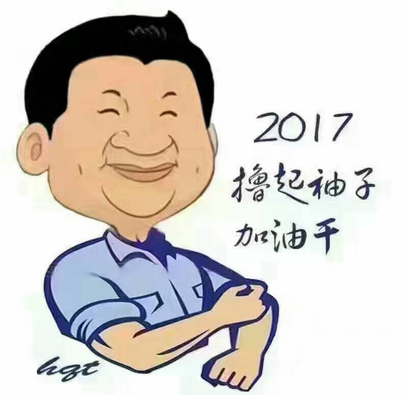 2017年，“大家擼起袖子加油干”！